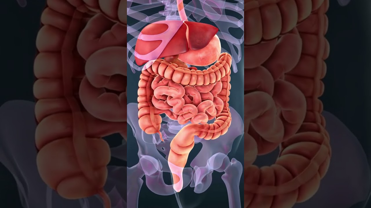 para que sirve bisglicinato de magnesio