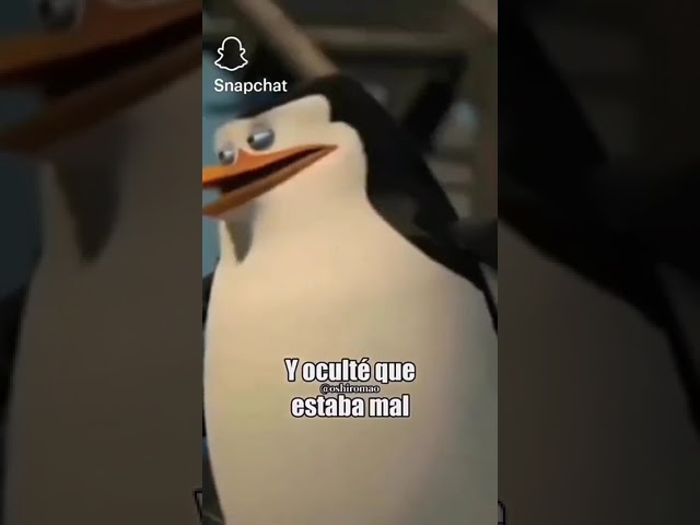 pedir perdón sin tener la culpa