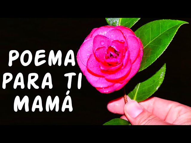 poemas del día de la madre