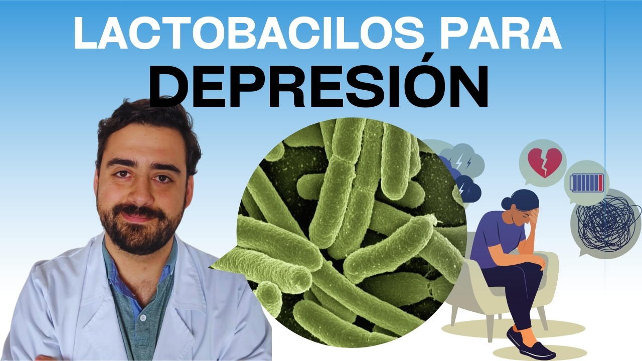 probióticos para la depresión y ansiedad