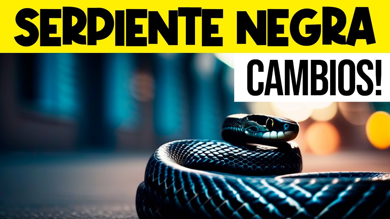 q significa soñar con una serpiente negra