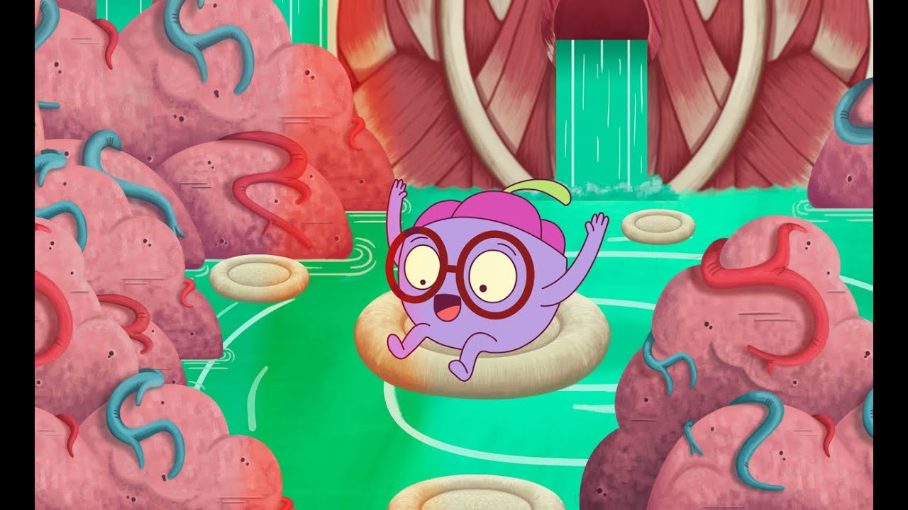 que bacterias se encuentran en la boca y nariz