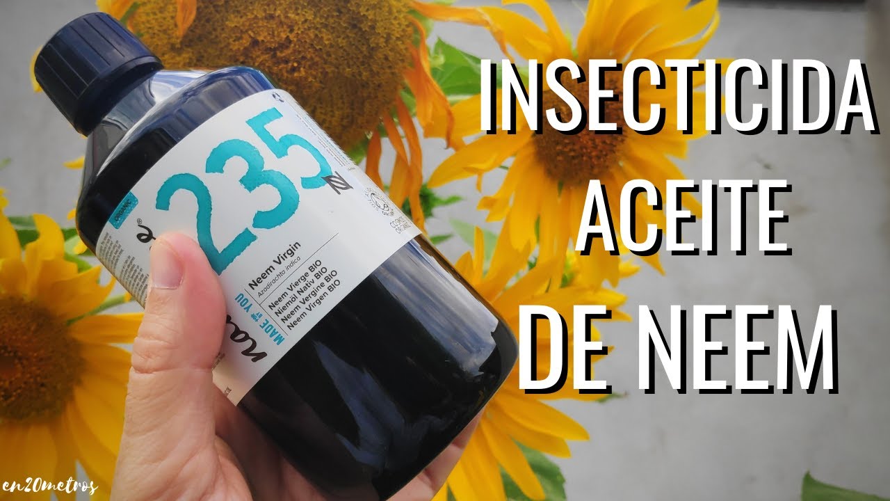 qué es el aceite de neem