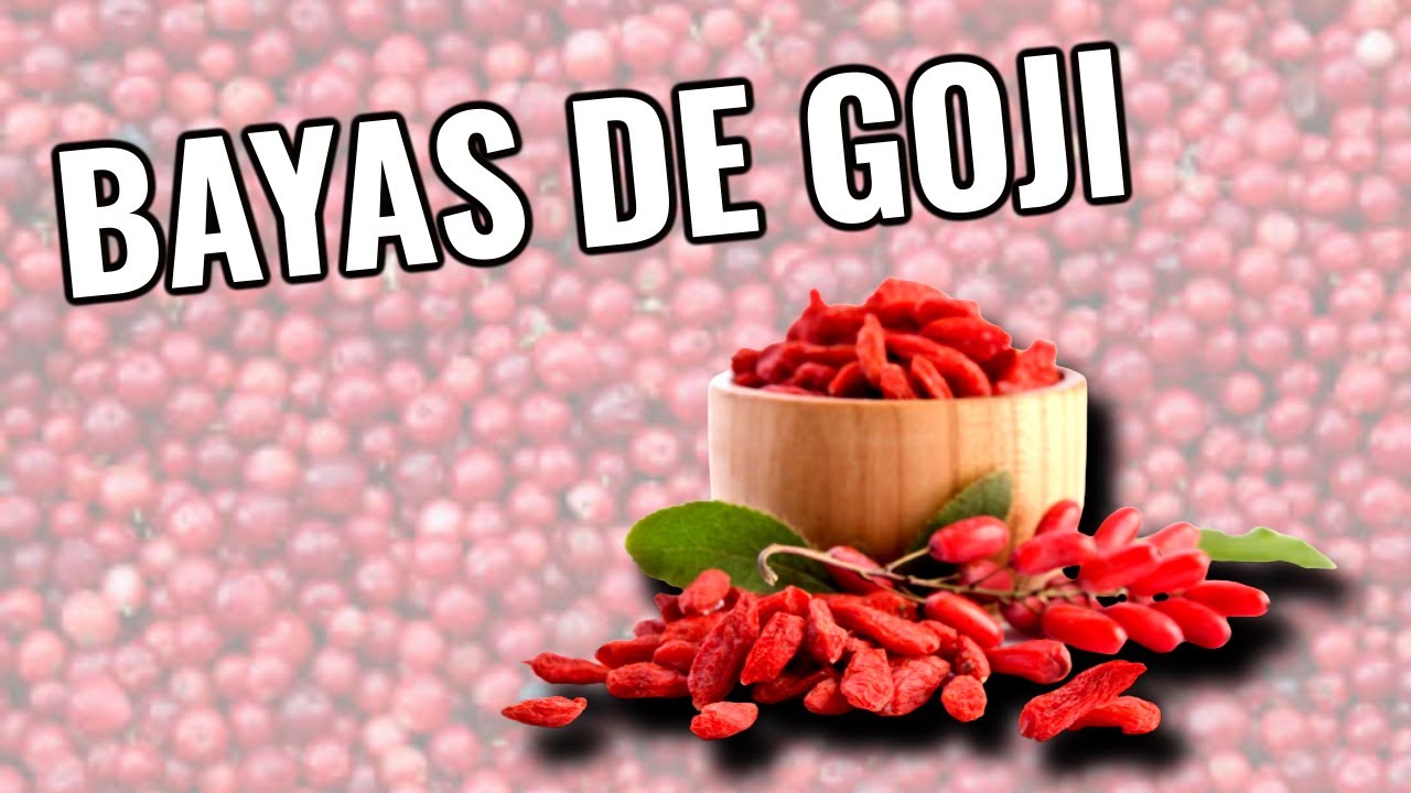 beneficios de la baya de goji