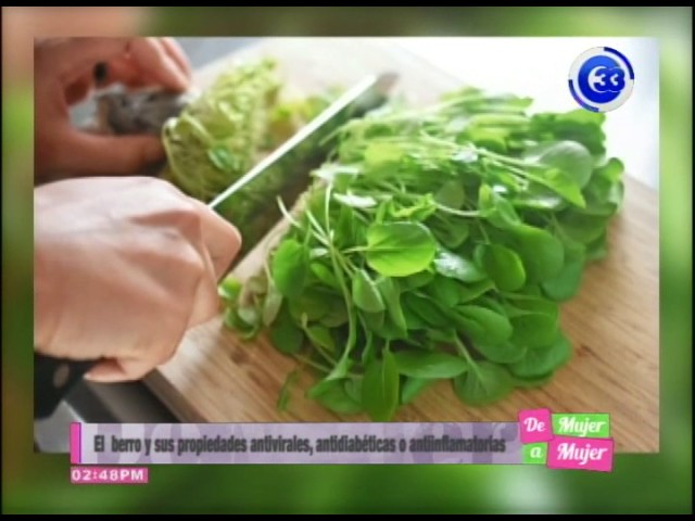 berros y canónigos es lo mismo