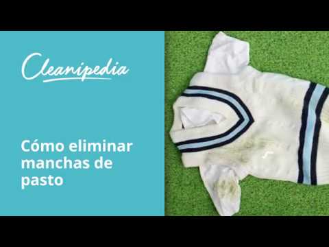 como quitar manchas de cesped de la ropa