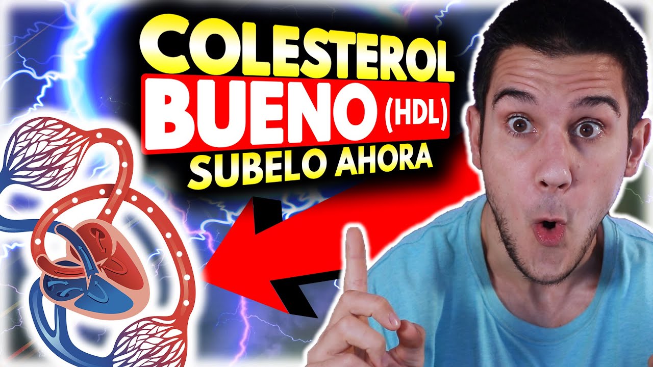 como subir el hdl de forma natural