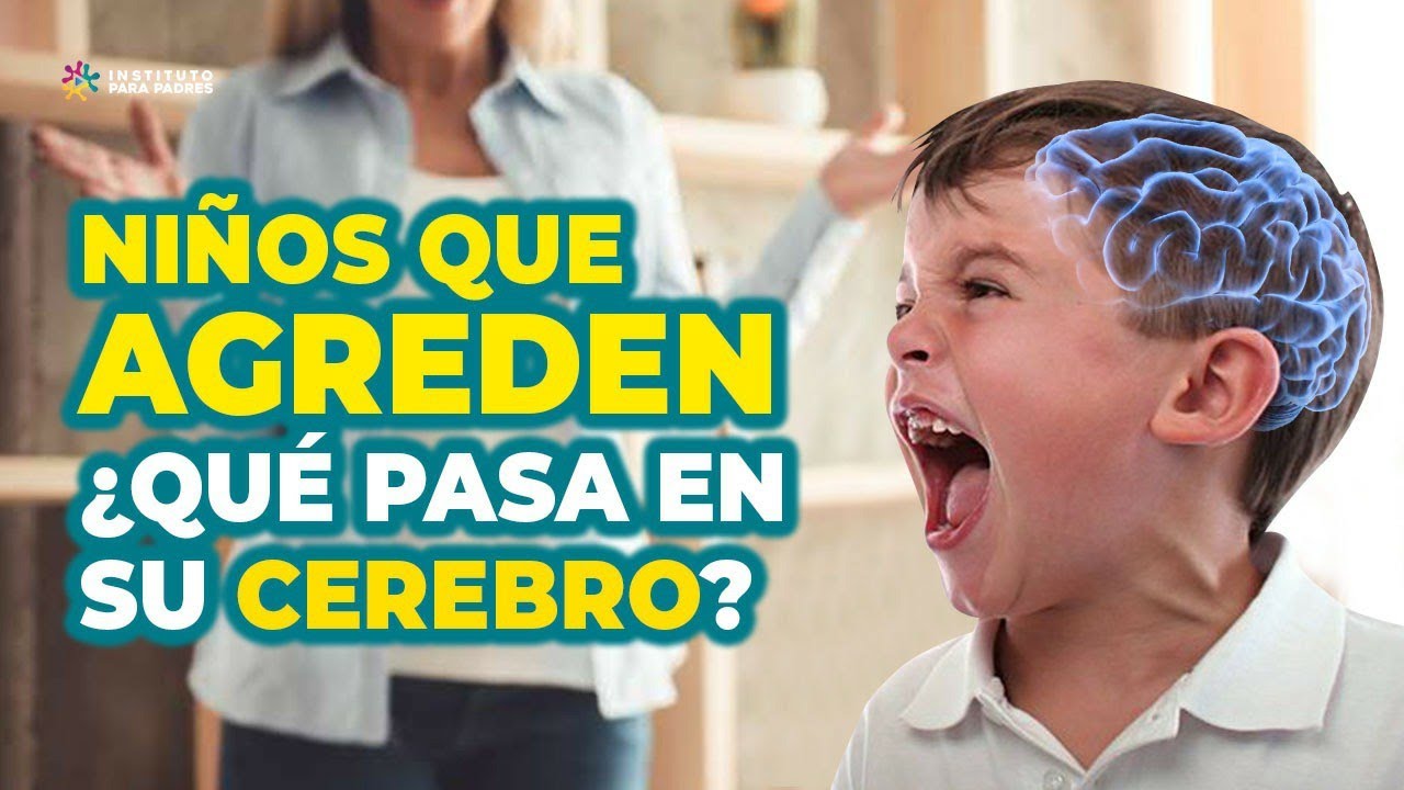 conductas agresivas en niños de 3 a 6 años