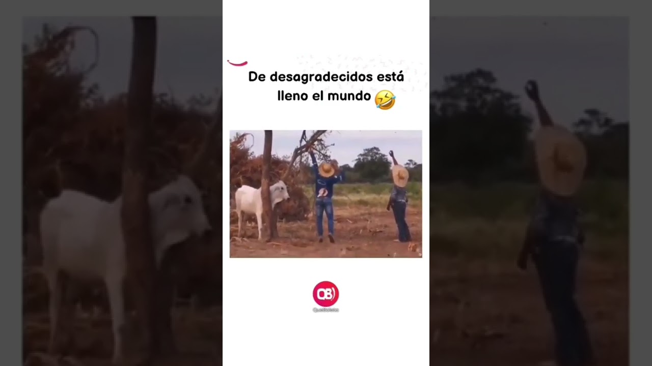 de desagradecidos esta lleno el mundo