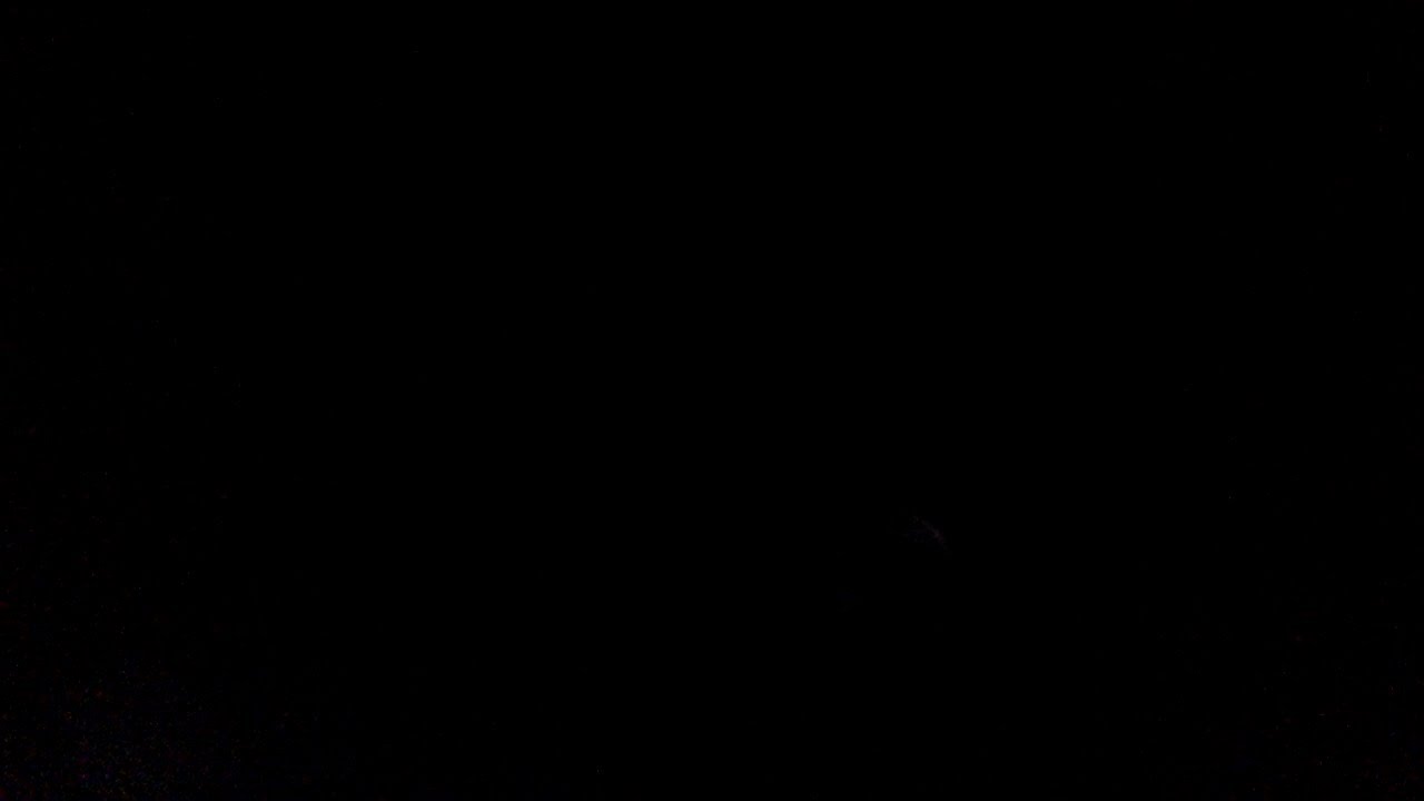 el matrimonio de los peces rojos