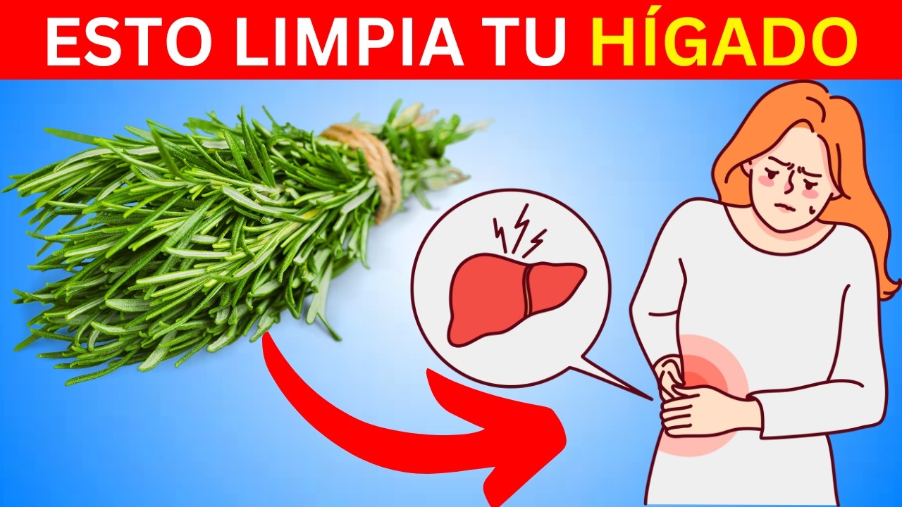 hierbas para limpiar el higado y bajar de peso