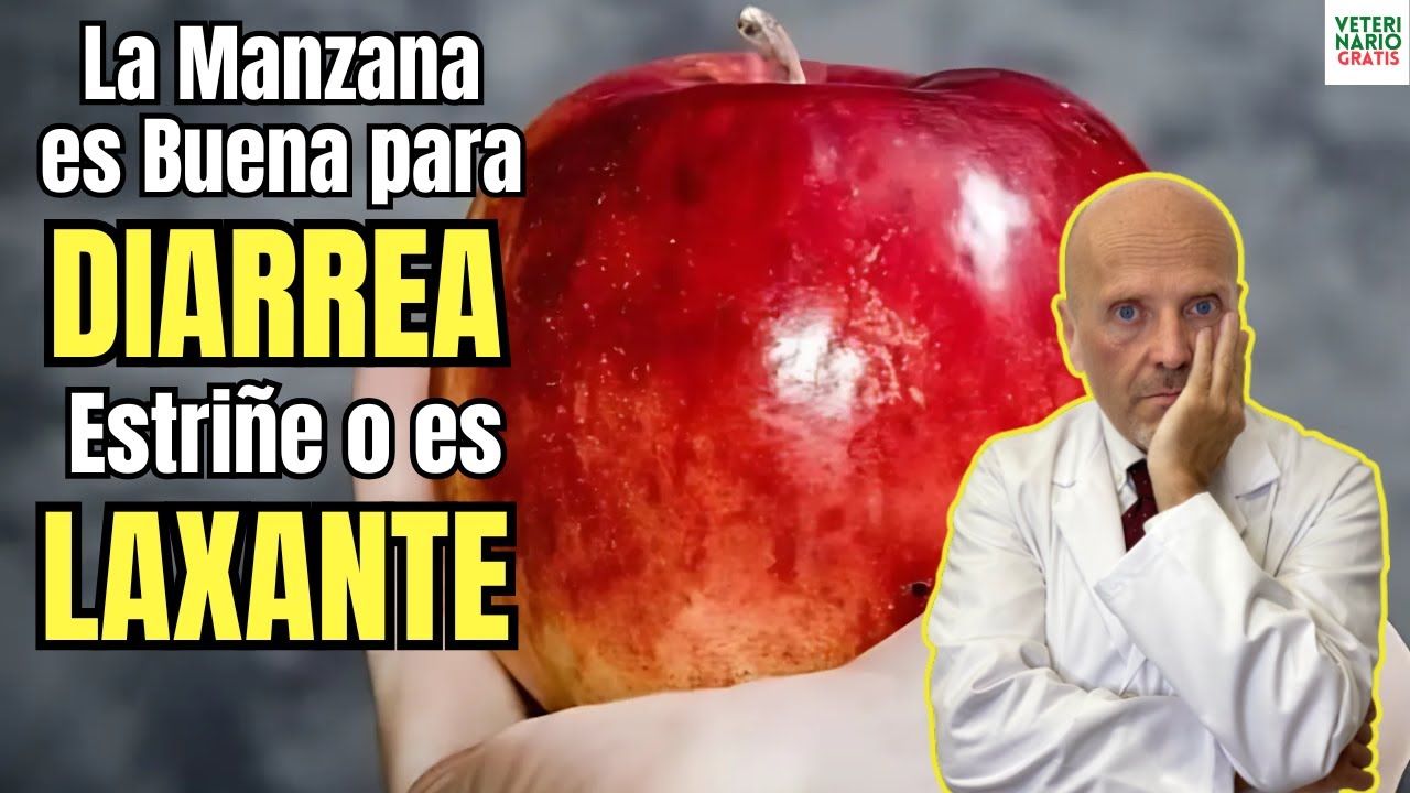 la manzana asada es buena para la diarrea