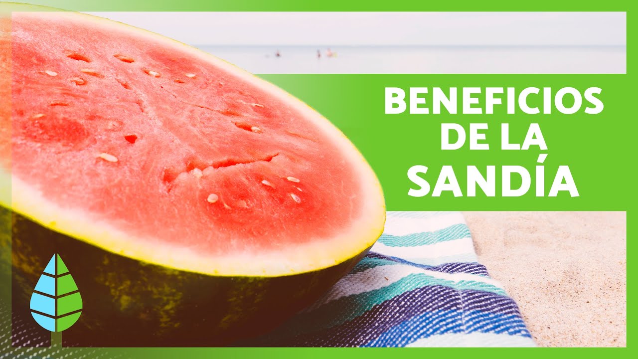la sandia es buena para la dieta