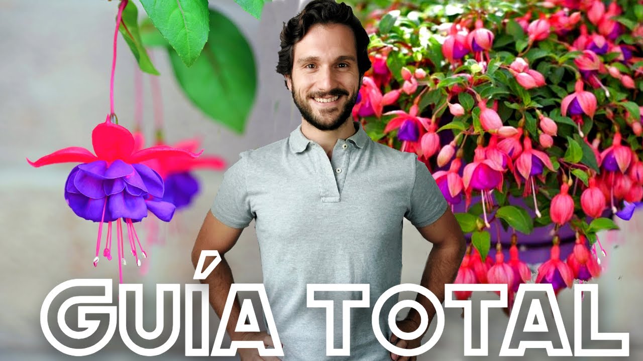 pendientes de la reina sol o sombra