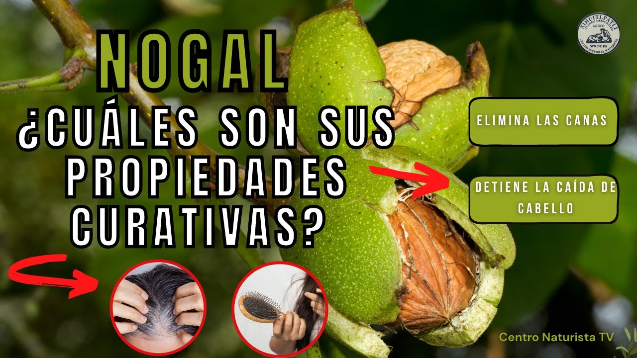propiedades de la hoja de nogal