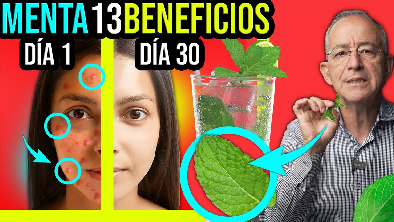 propiedades de la menta en infusión