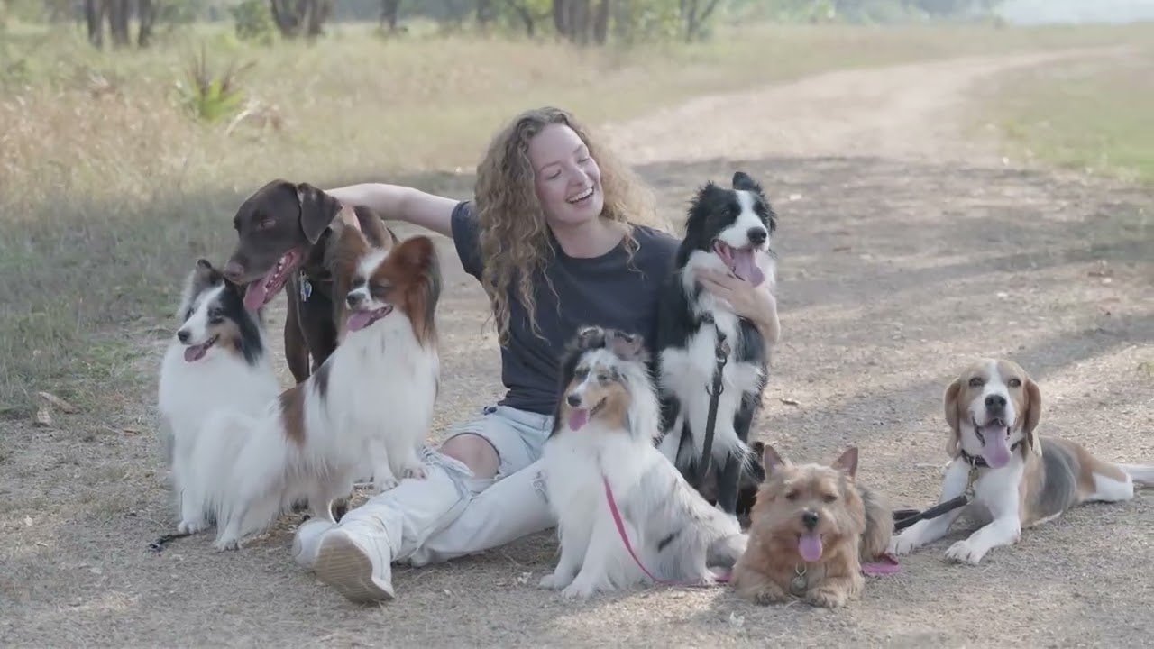 q significa soñar con muchos perros