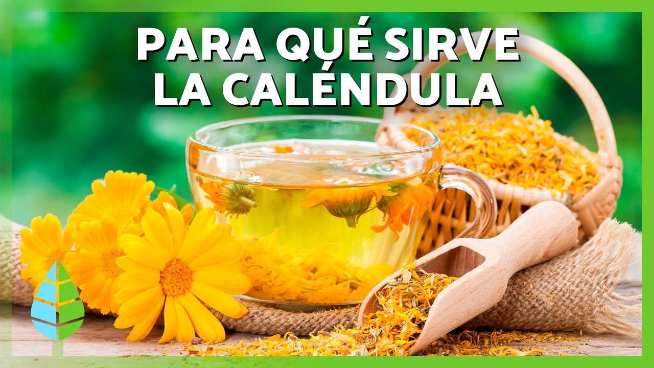 que es la calendula y para que sirve