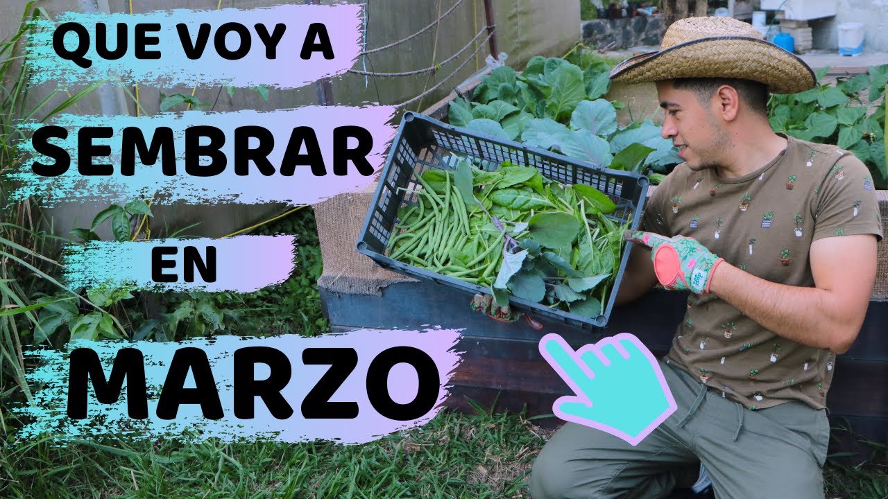 que sembrar en febrero y marzo