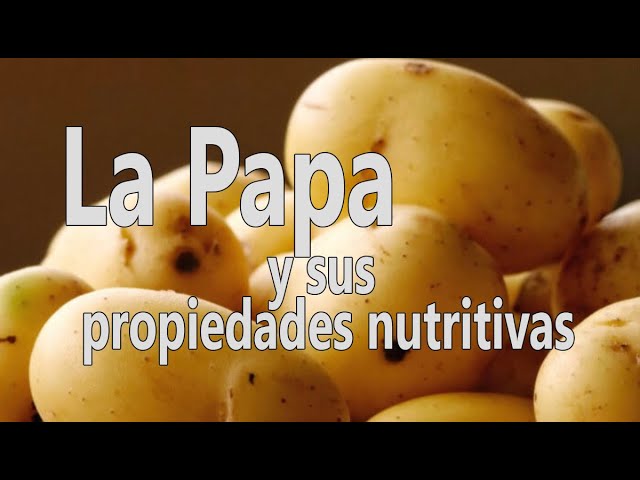 que tipo de alimento es la patata