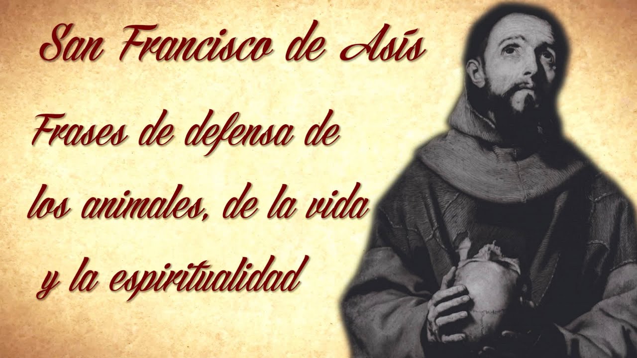 san francisco de asis frases animales